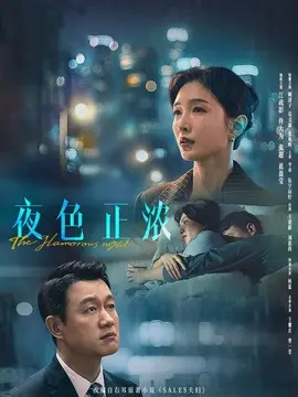 夜色正浓剧情介绍封面图
